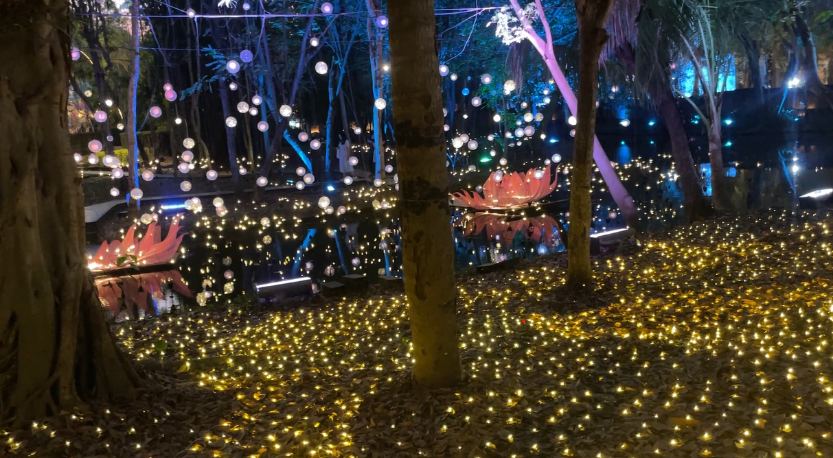 Nasatta park light festival
